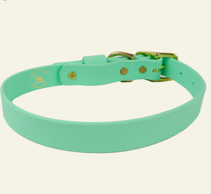 1" Mudproof Dog Collar - Mint Green