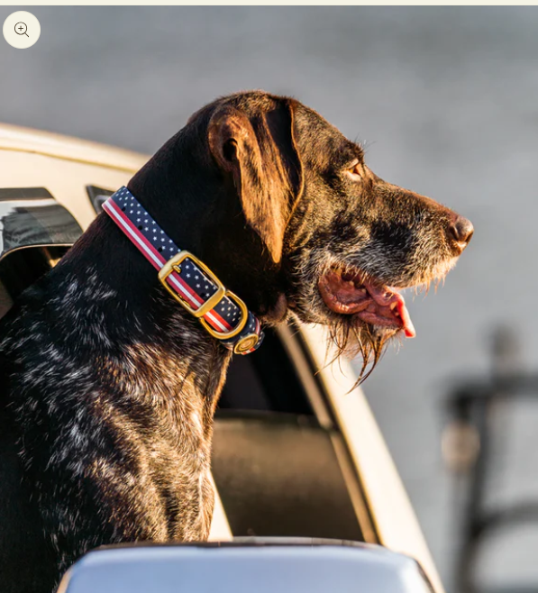 1" Mudproof Dog Collar - Patriot