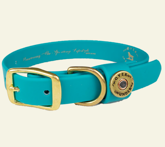 1" Mudproof Dog Collar - Teal