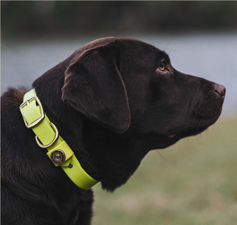 1" Mudproof Dog Collar - Yellow