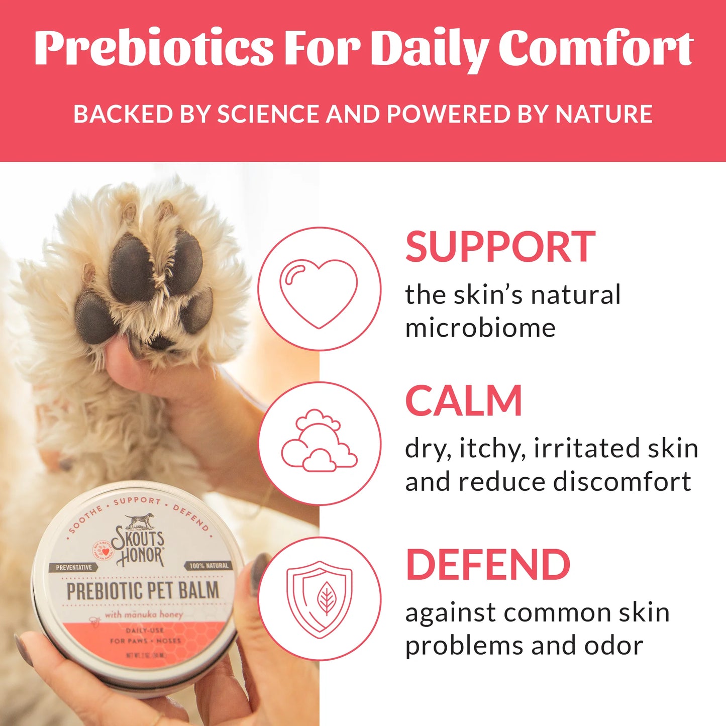Prebiotic Pet Balm - 2oz