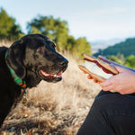 Stuffed Dog Toy - Smores Thumbnail