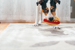 Stuffed Dog Toy - Crinkle Hot Dog Thumbnail