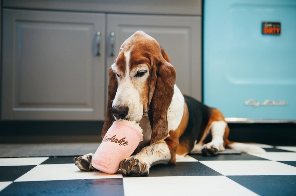 Stuffed Dog Toy - Crinkle Milkshake