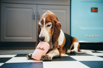 Stuffed Dog Toy - Crinkle Milkshake Thumbnail