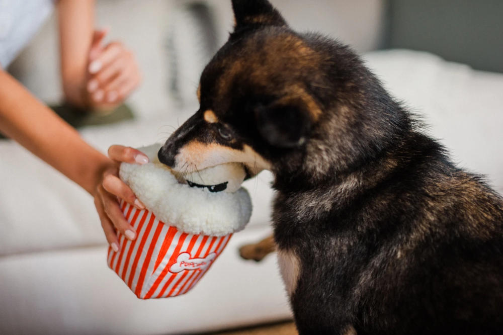 Stuffed Dog Toy - Crinkle Popcorn