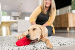 Stuffed Dog Toy - Crinkle Watermelon Thumbnail