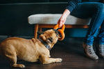 Stuffed Dog Toy - Pretzel Thumbnail
