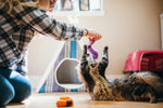 Wiggly Wormies Thumbnail