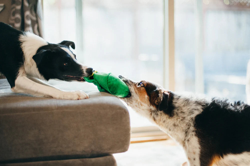 Leprechaun Hat / Toy