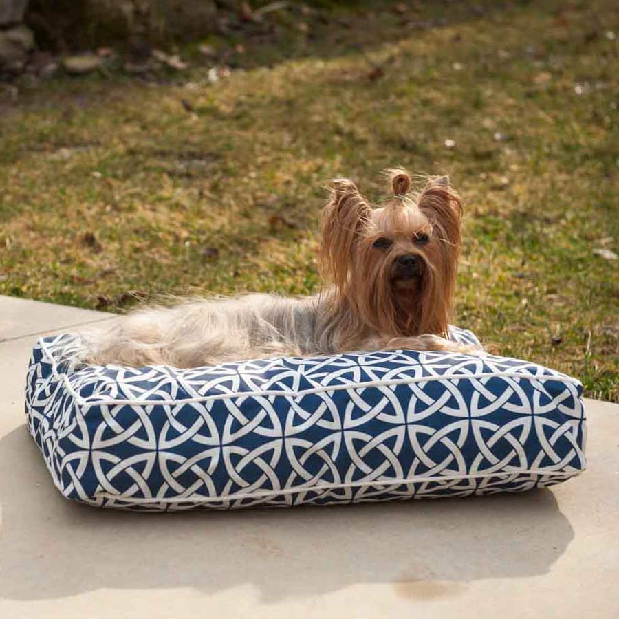Made in USA Rectangular Dog Bed - Pool & Patio - 2 Sizes - 2 Patterns