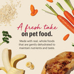 Honest Kitchen Dehydrated Dog Food - Whole Grain Chicken Thumbnail