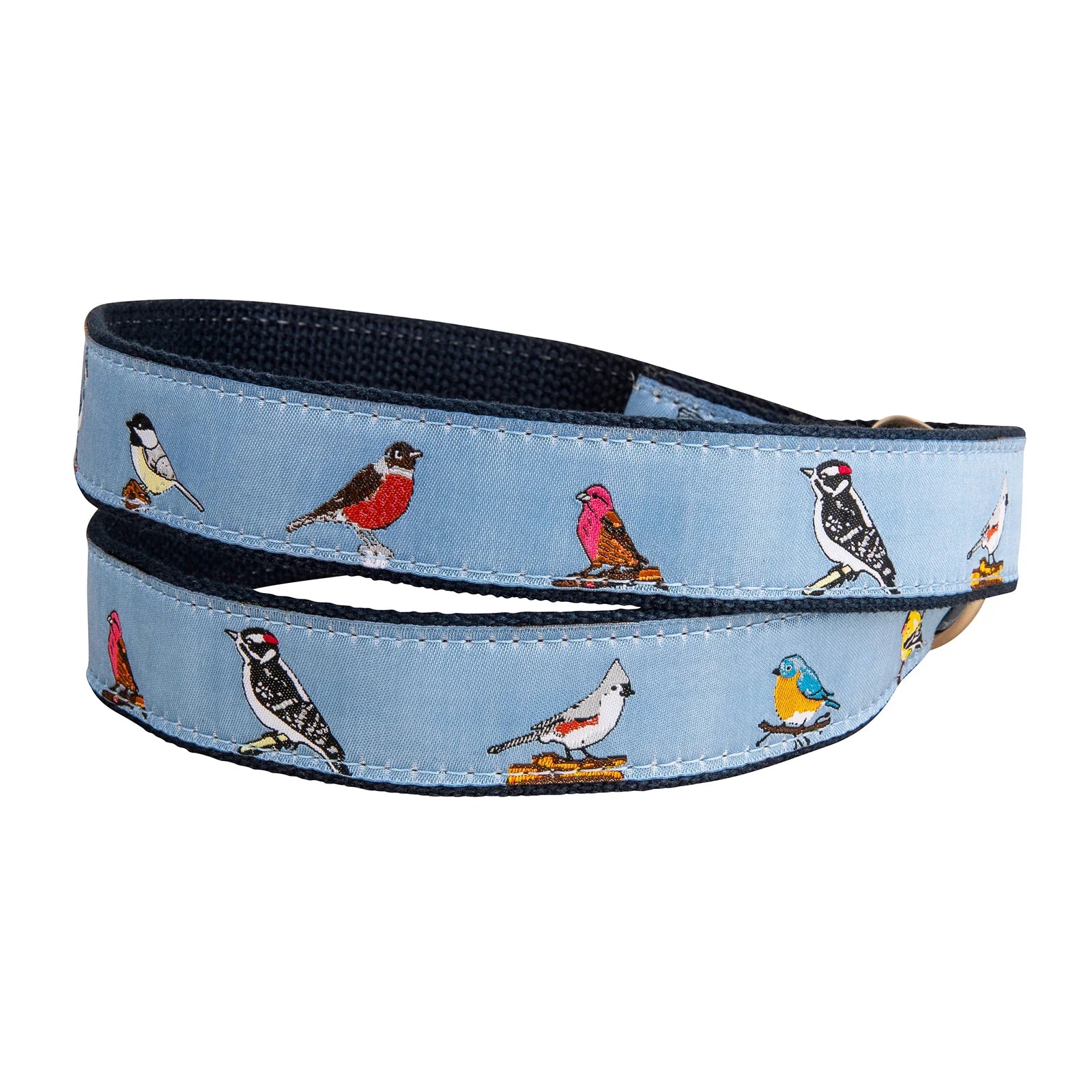 D-Ring Belt - Backyard Birds