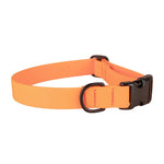 1” Dog Collar – Mudproof Biothane Thumbnail