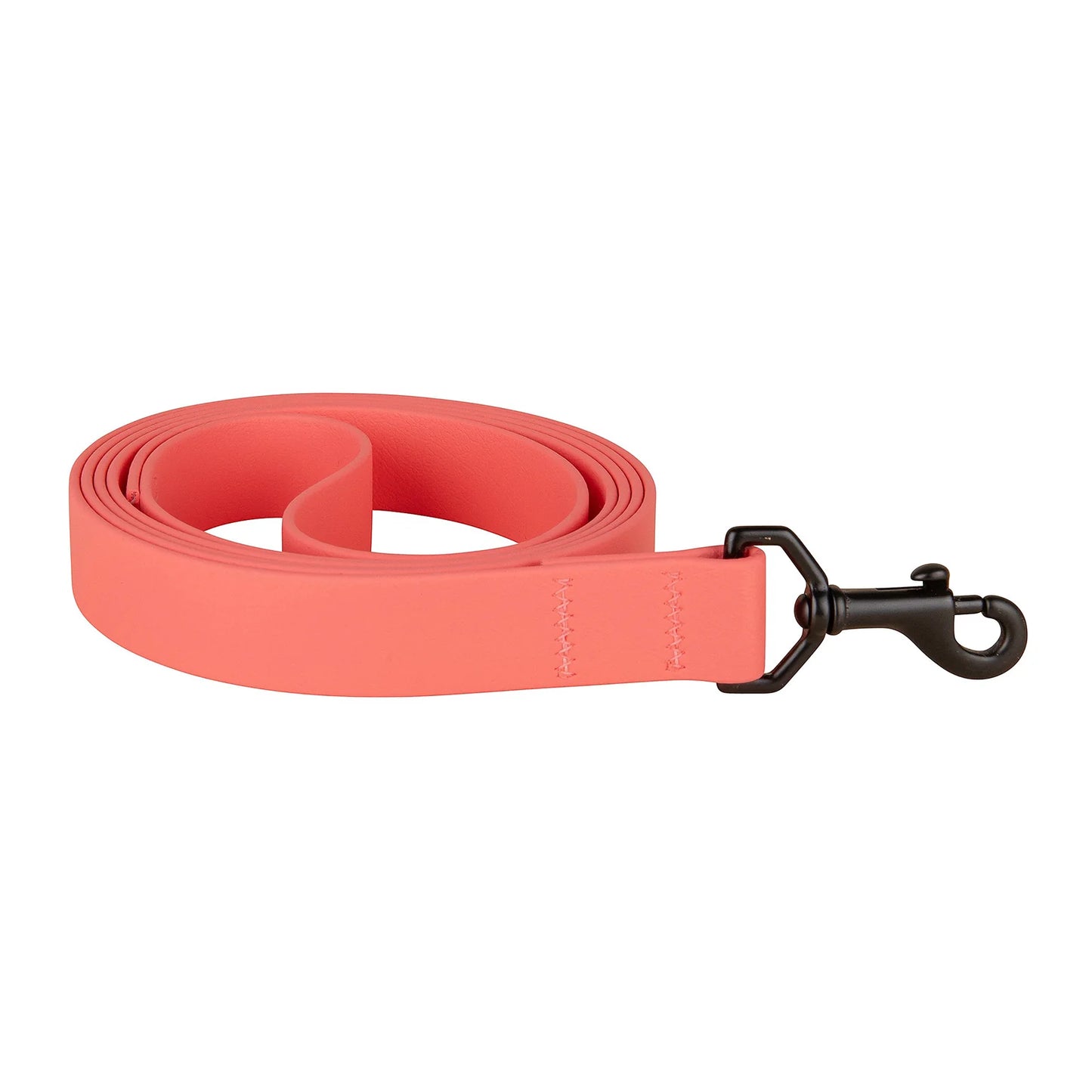 1" x 6ft Mudproof Biothane Dog Leashes