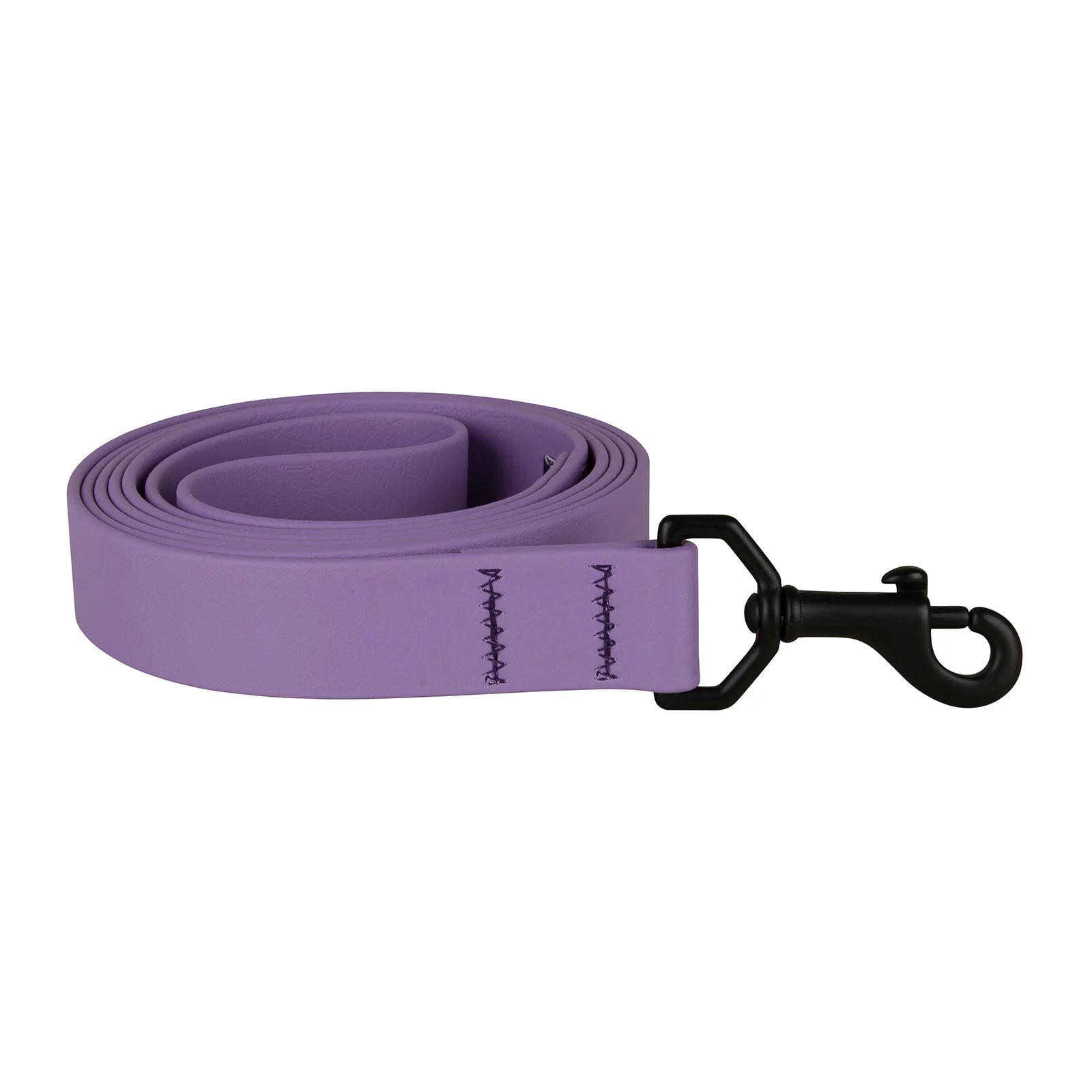 1" x 6ft Mudproof Biothane Dog Leashes