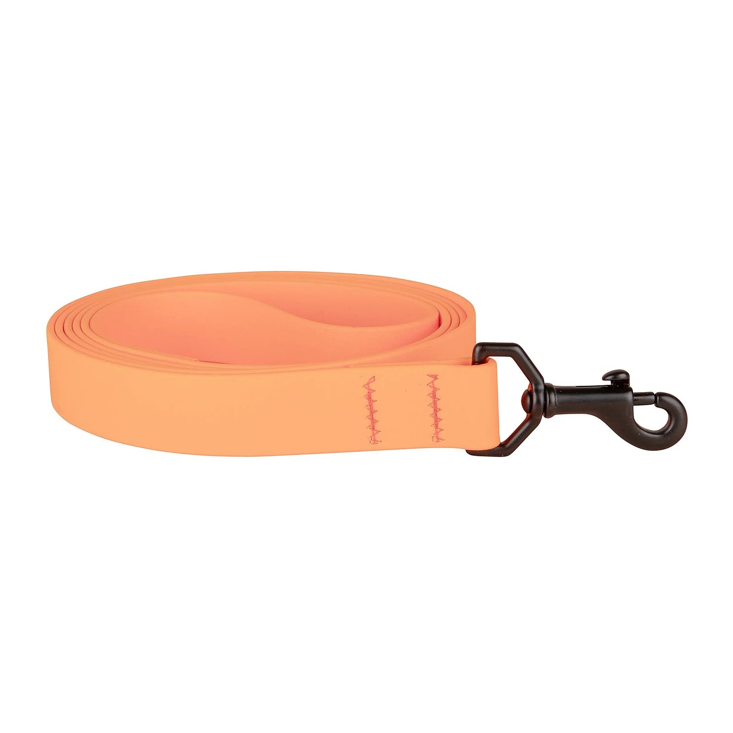 1" x 6ft Mudproof Biothane Dog Leashes