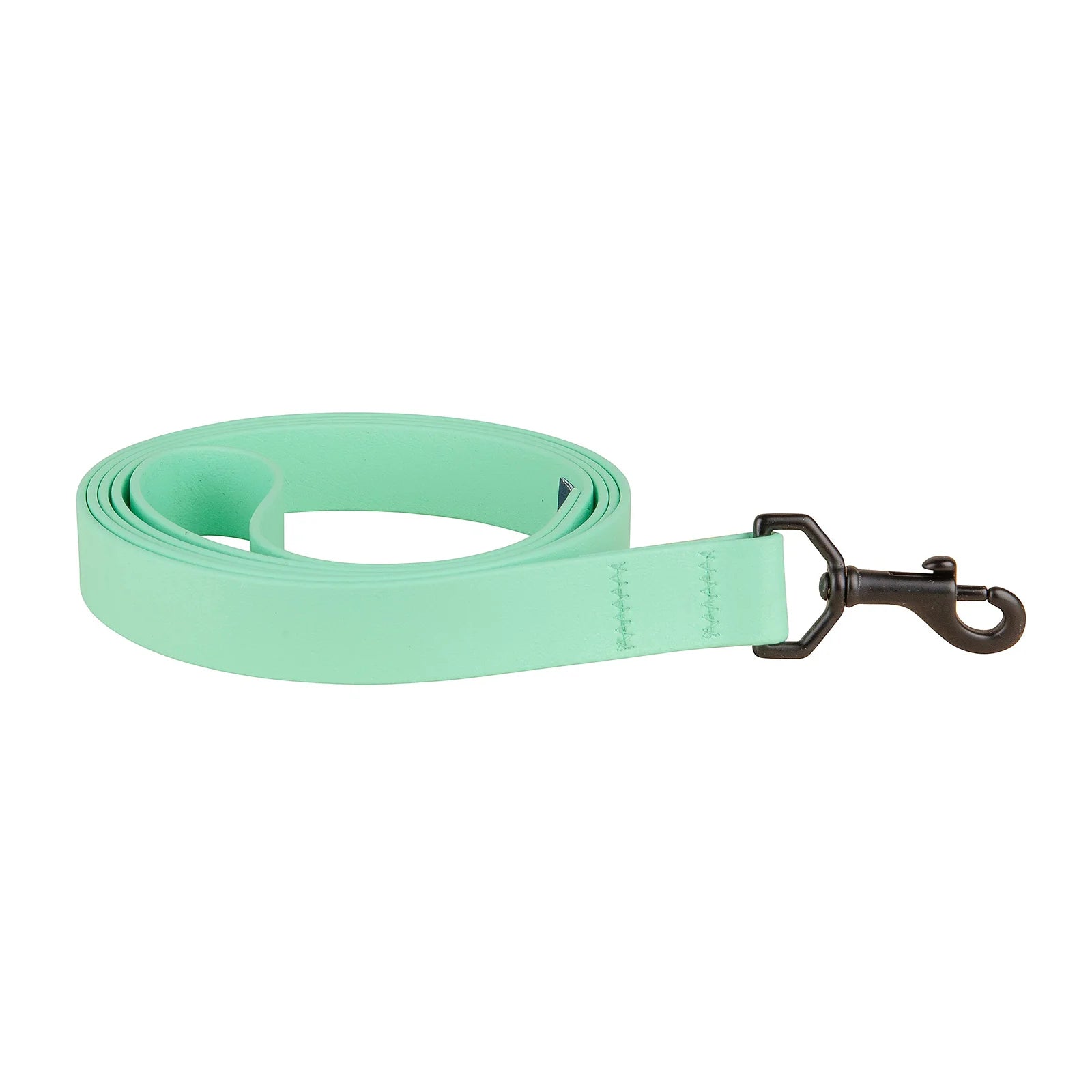 1" x 6ft Mudproof Biothane Dog Leashes