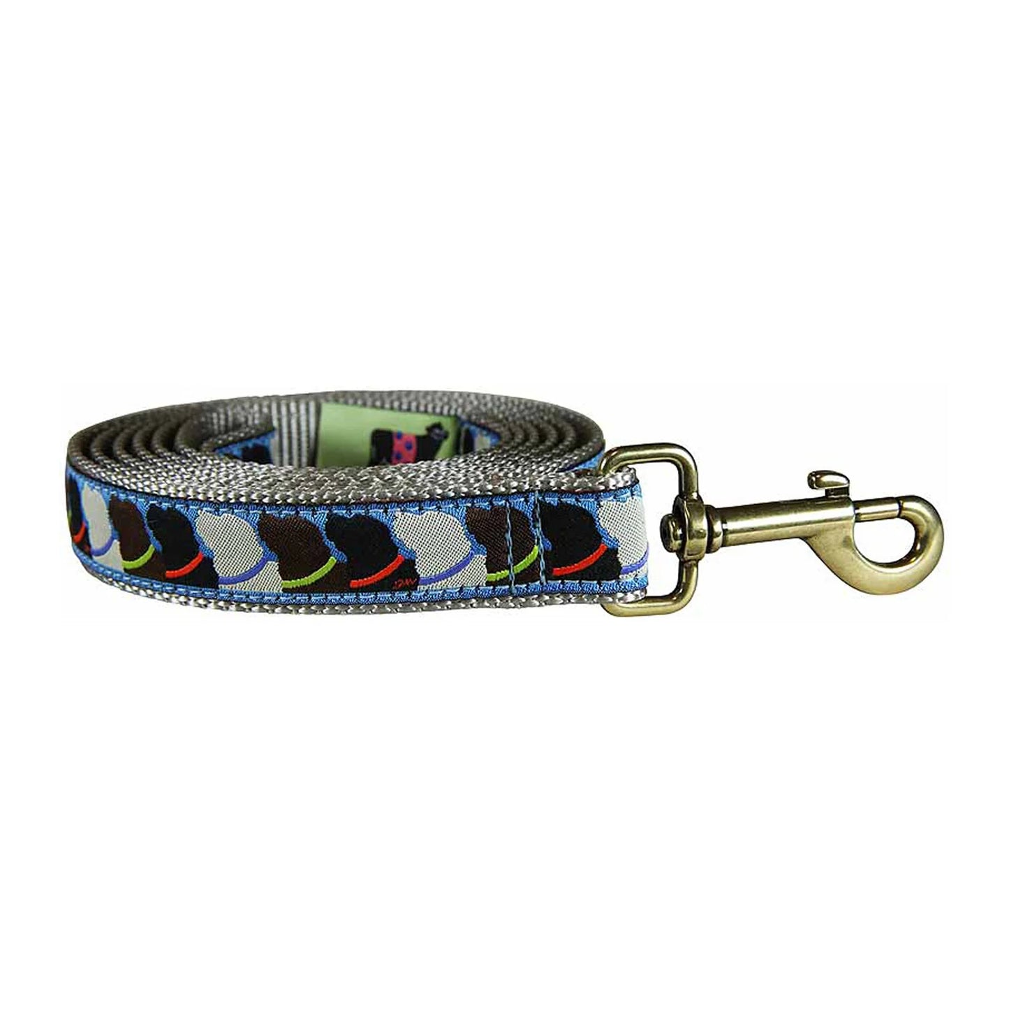 1” x 6ft Ribbon Dog Leash – Who Wants Treats?, Blue