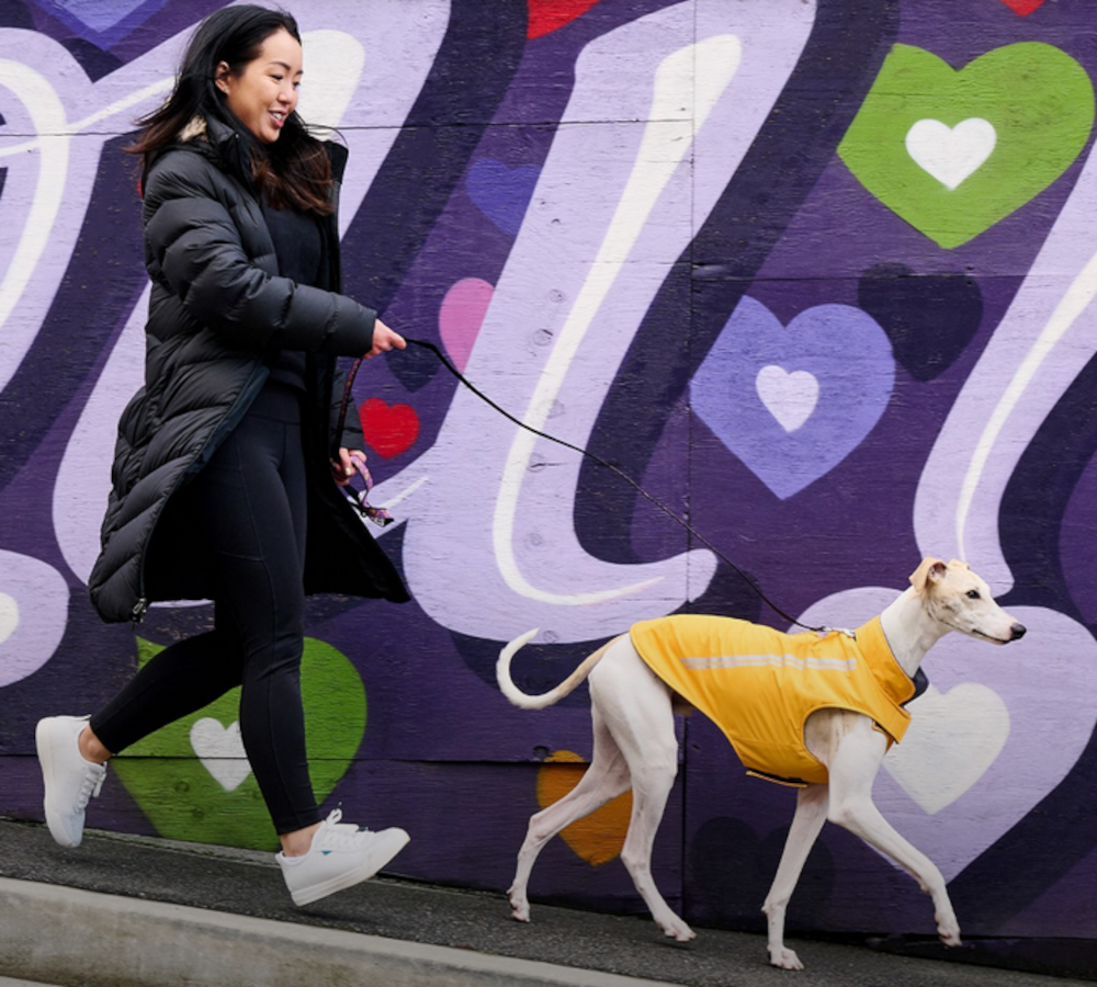 Waterproof Winter Dog Coat - Yellow
