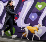 Waterproof Winter Dog Coat - Red Thumbnail