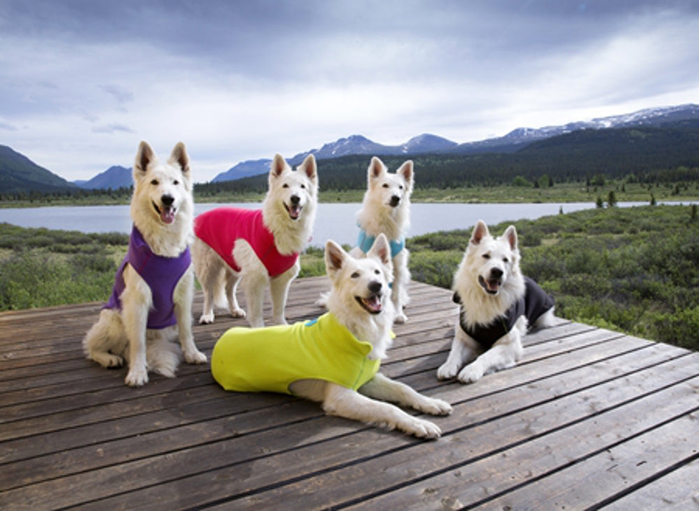 Dog Fleece - Lime Green