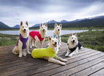 Dog Fleece - Lime Green Thumbnail