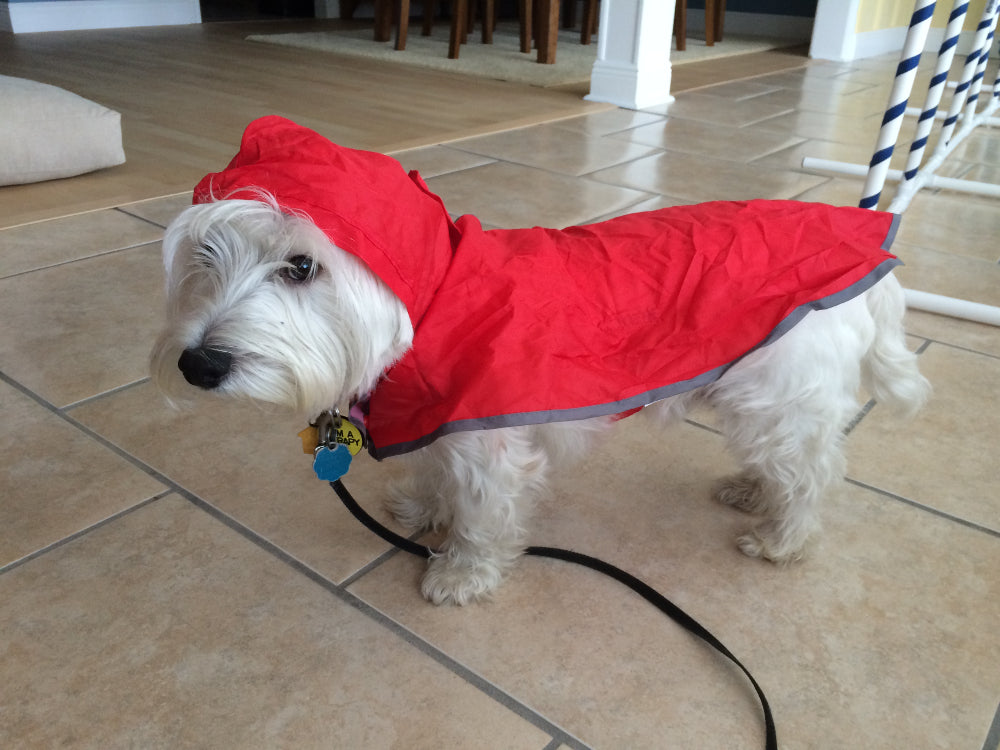 Dog Poncho - Crimson/Red