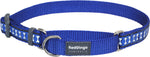 12mm Martingale Dog Collar - XSmall Thumbnail