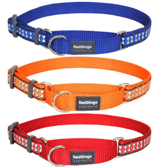 15mm Martingale Dog Collar - Small