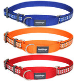 20mm Martingale Dog Collar - Medium Thumbnail