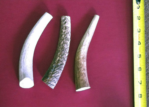 Whole Elk Antler Chew - ea.