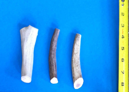 Whole Elk Antler Chew - ea.