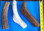 Whole Elk Antler Chew - ea. Thumbnail
