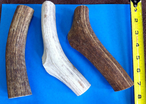 Whole Elk Antler Chew - ea.
