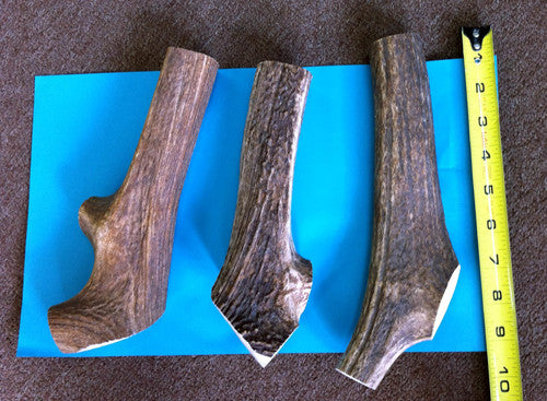 Whole Elk Antler Chew - ea.