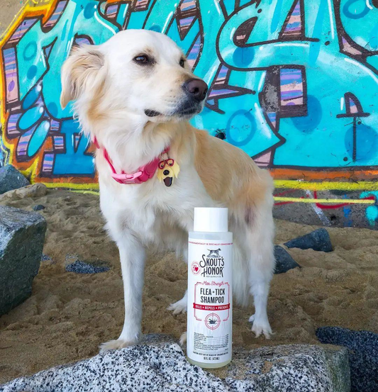 Flea & Tick Shampoo - Dog - 16oz