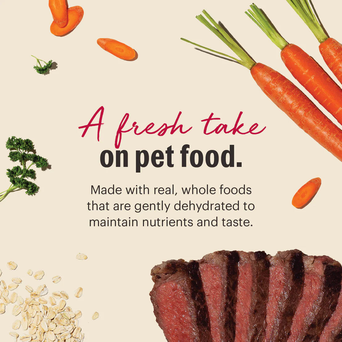 Honest Kitchen Dehydrated Dog Food - Whole Grain Beef - 10lb
