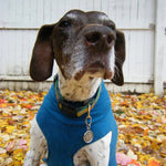 Hand-Made Stainless Steel Pet ID Tag - Lotus - Small Thumbnail