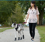 Strider Dog Boots Thumbnail