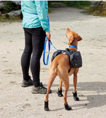 Strider Dog Boots Thumbnail