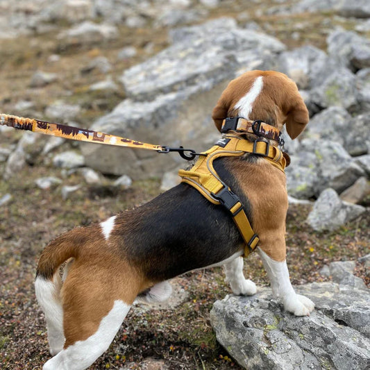 All Terrain Dog Harness