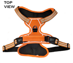 Utility Dog Harness Thumbnail