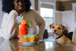 Stuffed Dog Toy - Plush Avocado Toast Thumbnail