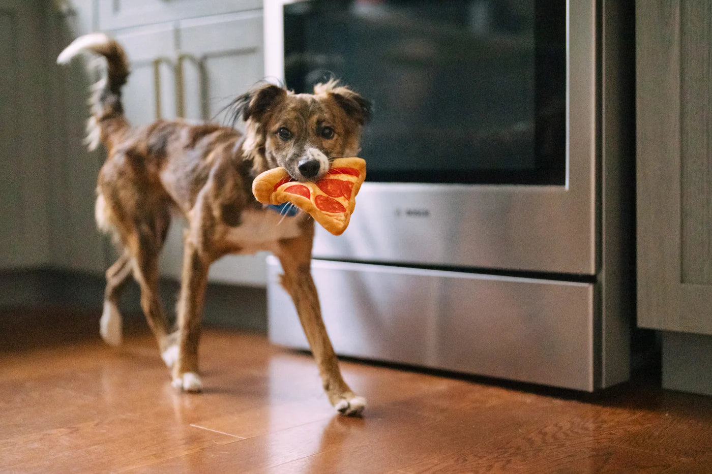 Stuffed Dog Toy - Crinkle Pizza