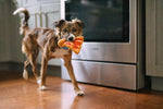 Stuffed Dog Toy - Crinkle Pizza Thumbnail