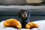 Stuffed Dog Toy - Plush Croissant Thumbnail