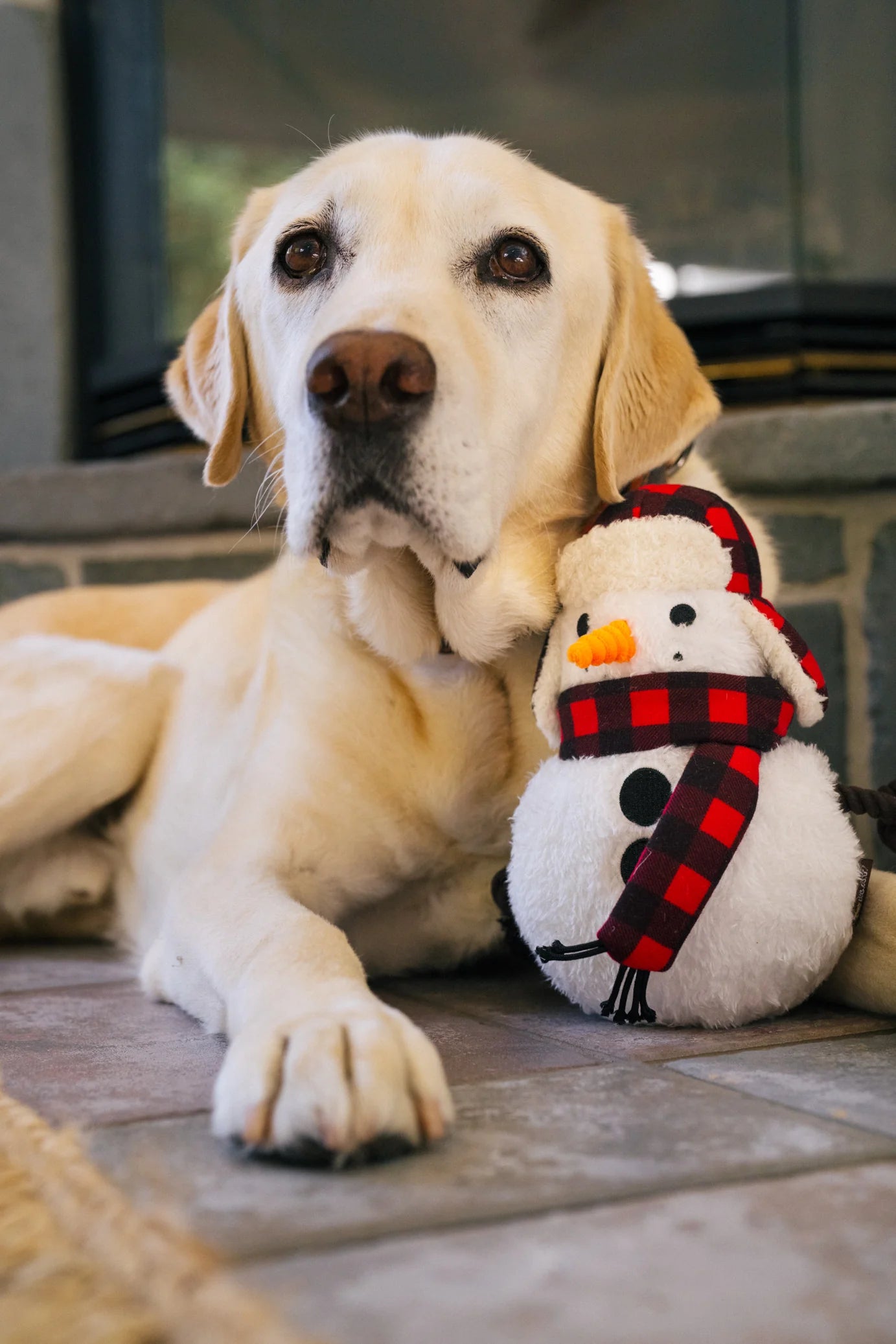 Stuffed Dog Toy - Snowman
