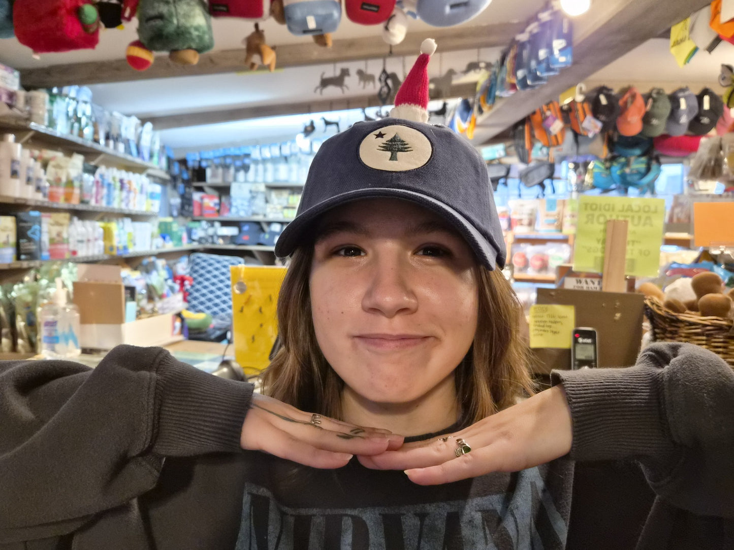 Baseball Hat with Santa Hat – Maine Tree & Star on Canvas - Navy Blue