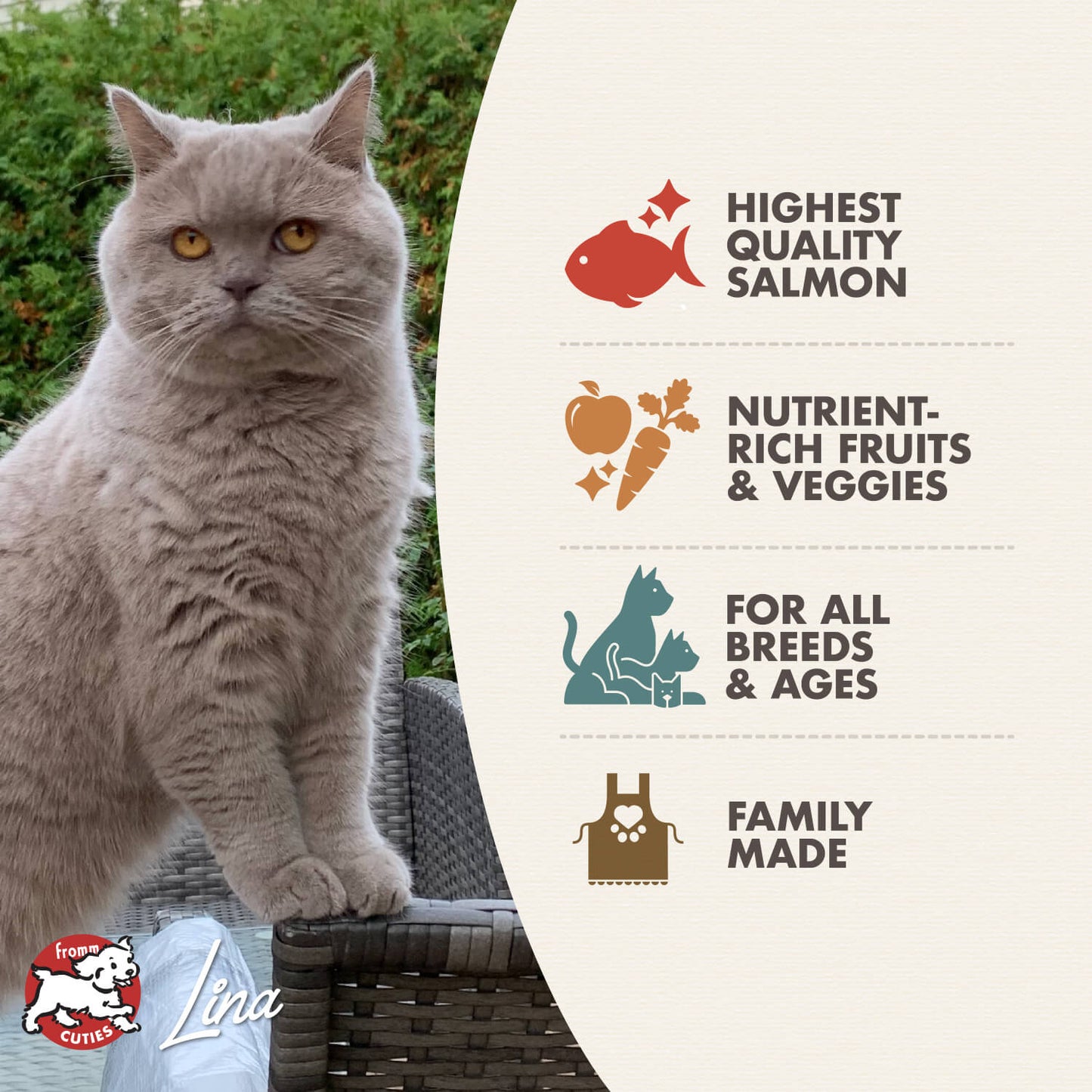 Fromm Dry Cat Food - 4-Star Salmon ala Veg - 4lb